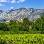 Village provençal avec clocher, vignobles et montagne de la Sainte-Baume en arrière-plan