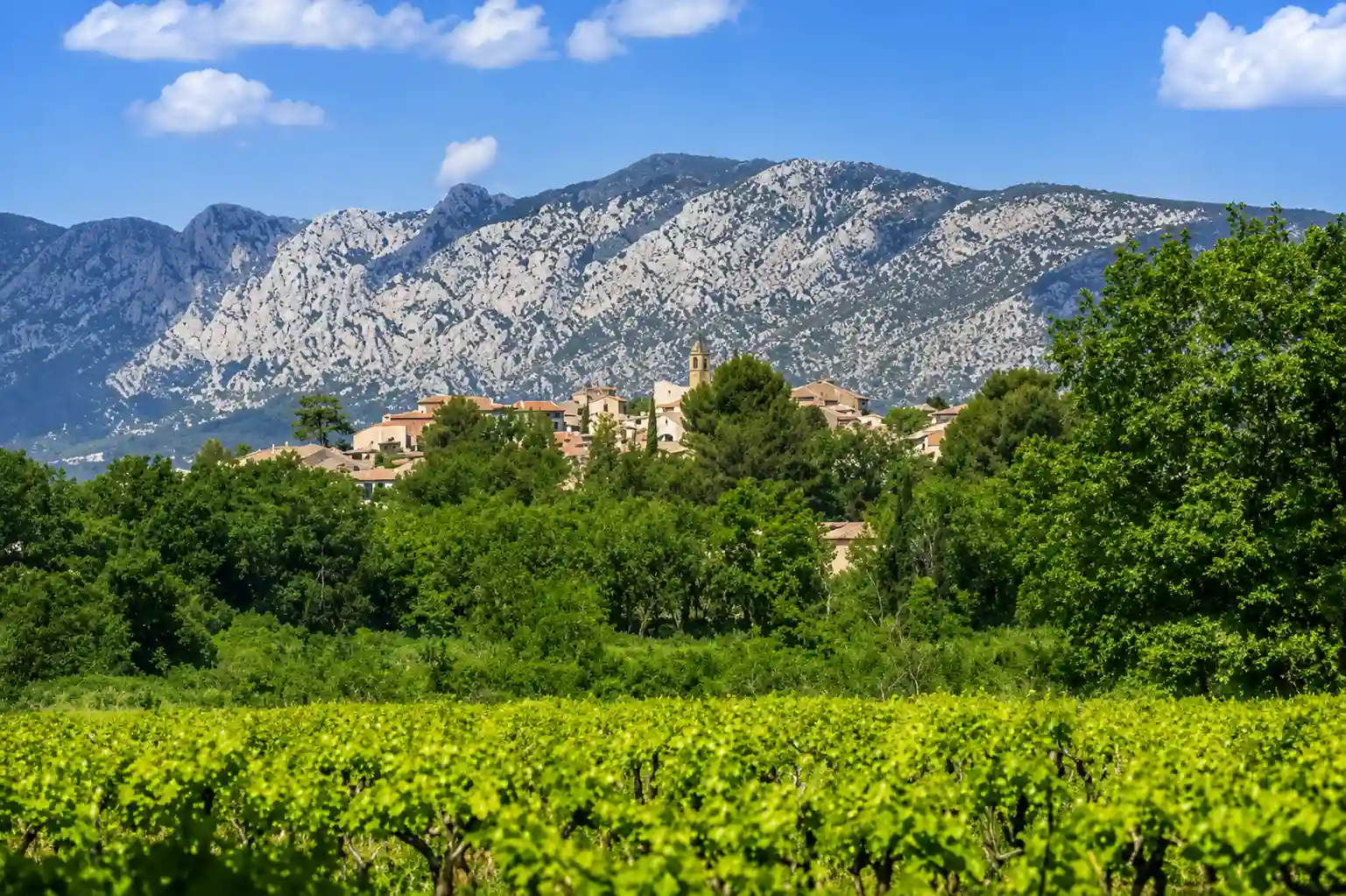 Village provençal avec clocher, vignobles et montagne de la Sainte-Baume en arrière-plan