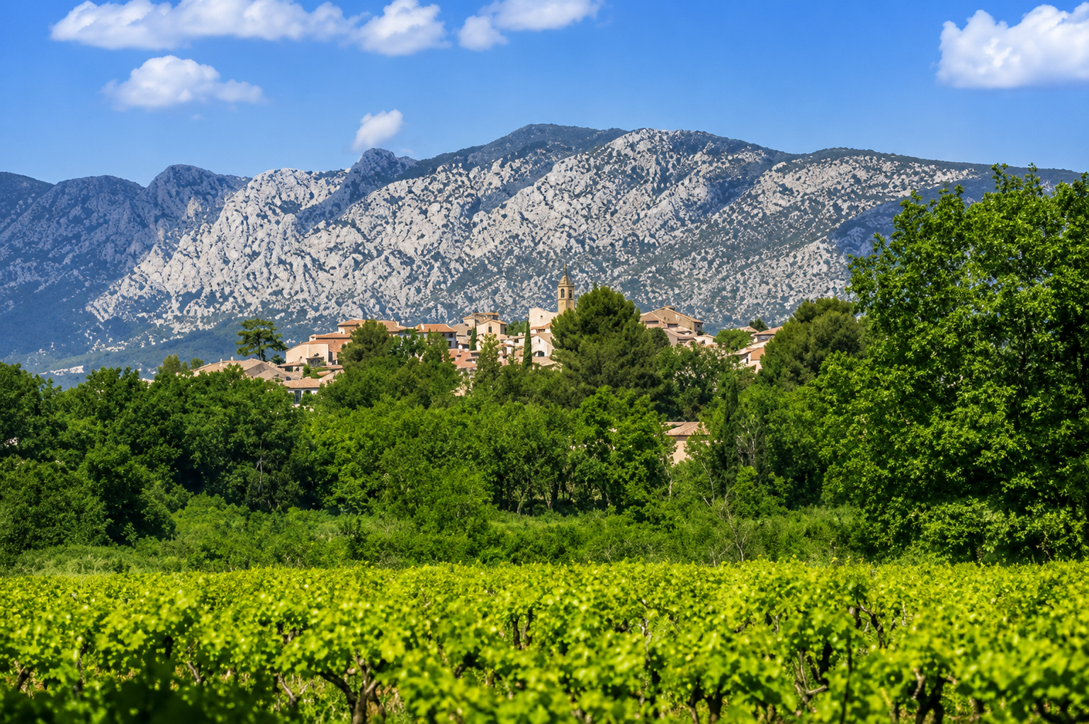 Village provençal avec vignobles au pied de la montagne de la Sainte-Baume