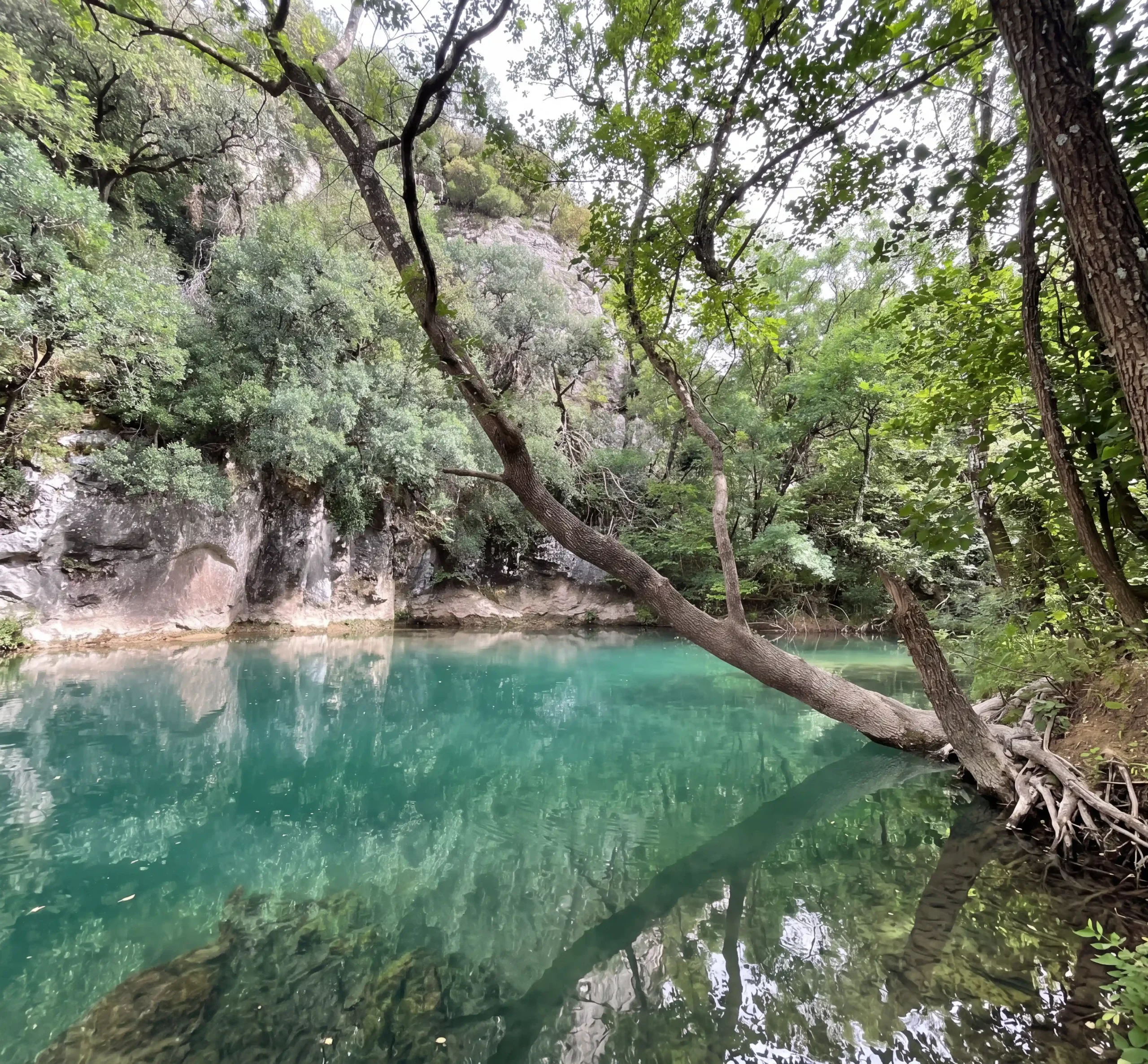 Plan d'eau turquoise entouré d'arbres et de falaises pour une baignade nature en Provence