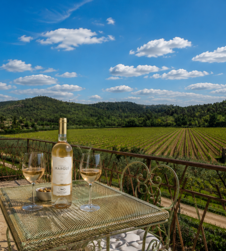 Bouteille de vin rosé et verres sur une table avec vue sur les vignobles
