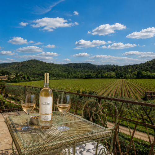 Bouteille de vin rosé et verres sur une table avec vue sur les vignobles