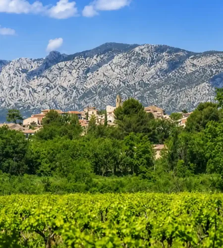 Village provençal avec clocher, vignobles et montagne de la Sainte-Baume en arrière-plan