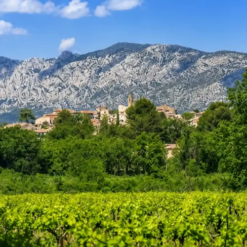 Village provençal avec clocher, vignobles et montagne de la Sainte-Baume en arrière-plan
