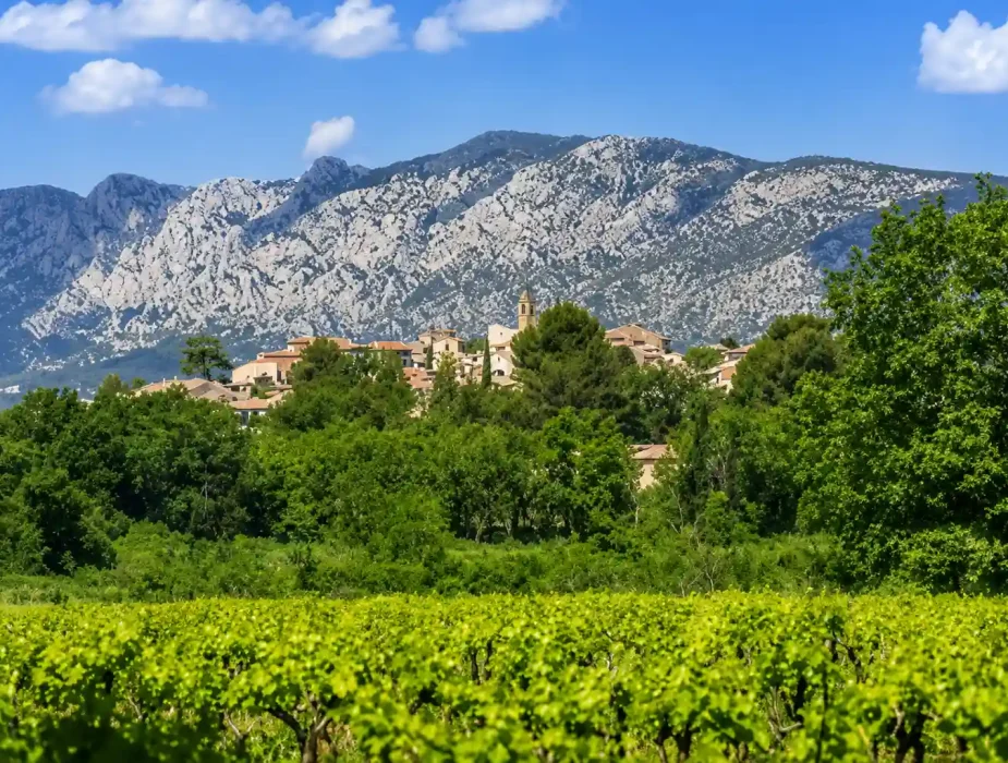 Village provençal avec clocher, vignobles et montagne de la Sainte-Baume en arrière-plan
